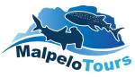 Malpelo Tours